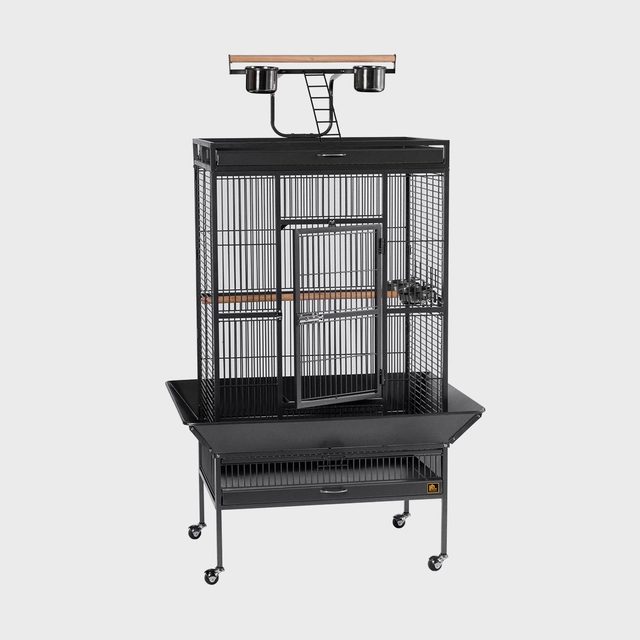 Black birdcage sits on wheeled stand; features two levels, feeding cups, and a ladder with a wooden perch in a studio setting.