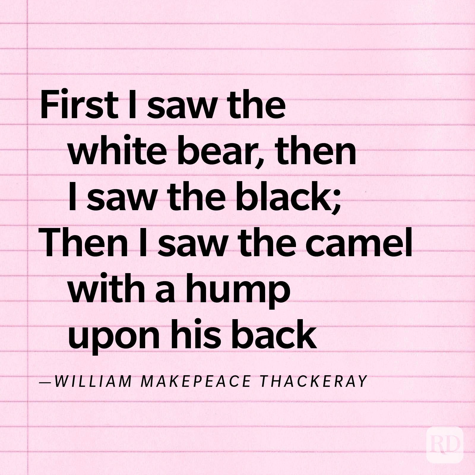 Text on lined pink paper quoting William Makepeace Thackeray about a white bear, black bear, and camel with a hump.