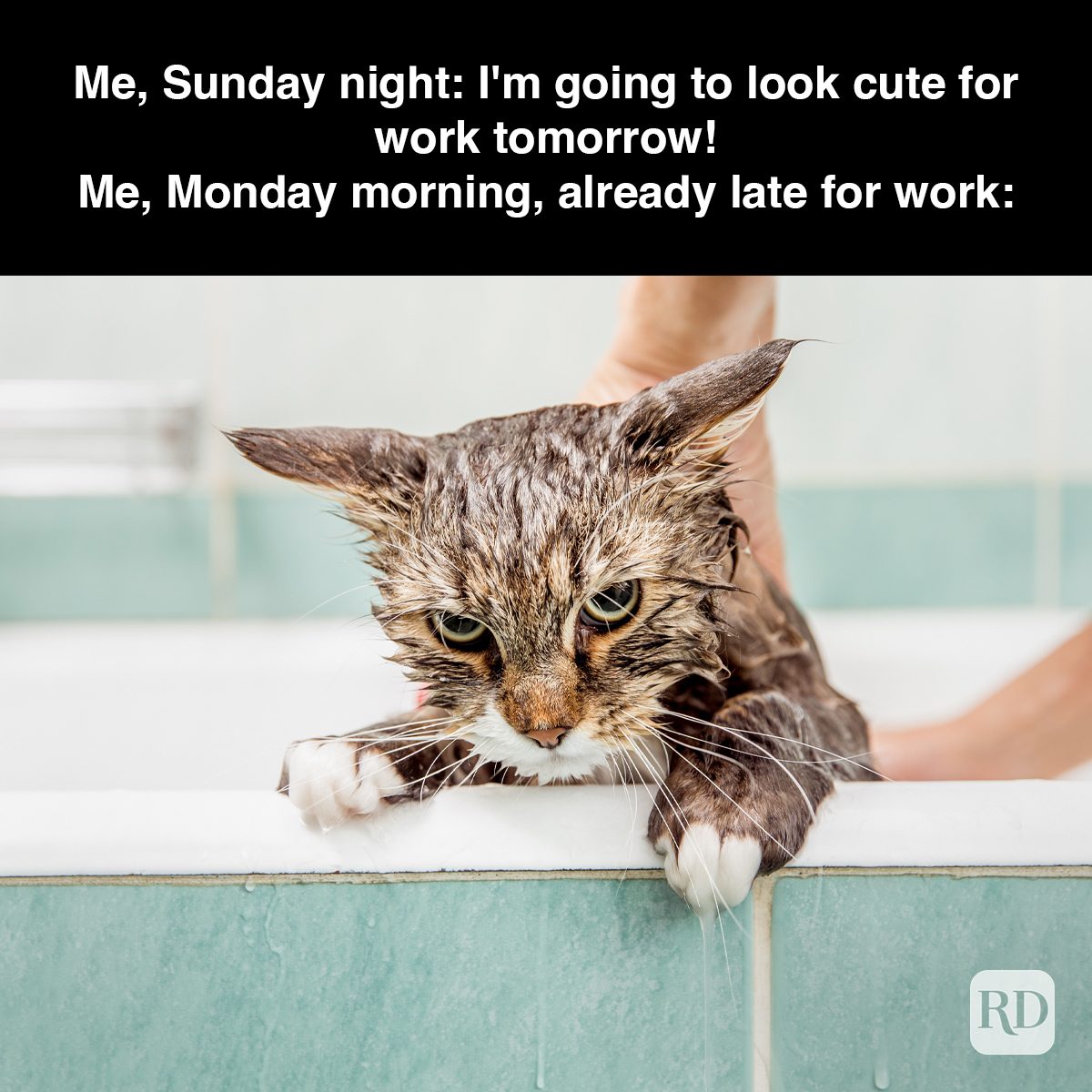 16 Me Sunday Night I'm Going To Look Cute For Work Tomorrow Me Monday Morning Already Late For Work Gettyimages 694195168