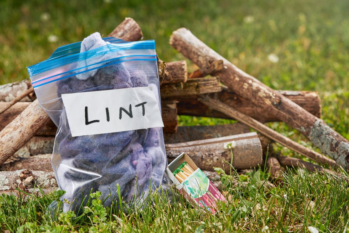 Bag containing lint labeled "LINT," resting against logs with a matchbox nearby, placed on grass outdoors.
