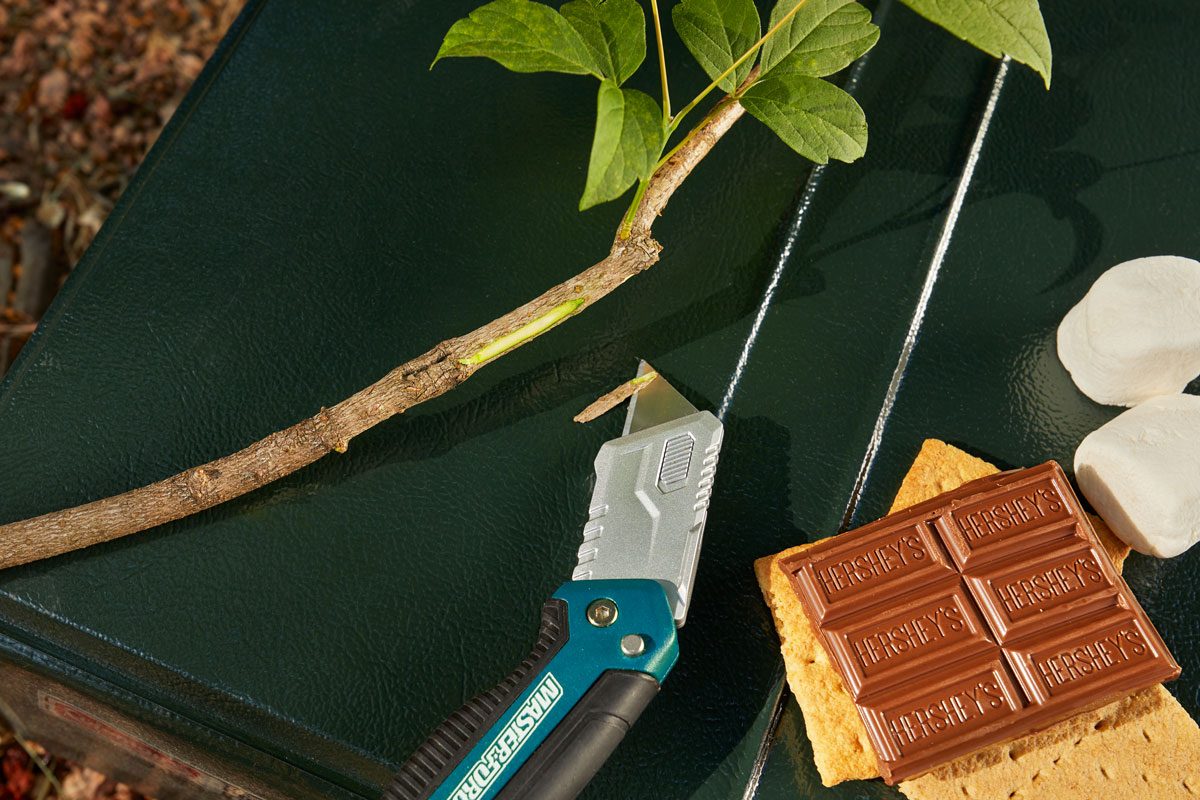 Utility knife cuts branch; nearby, graham cracker holds Hershey's chocolate, surrounded by marshmallows on dark green surface.