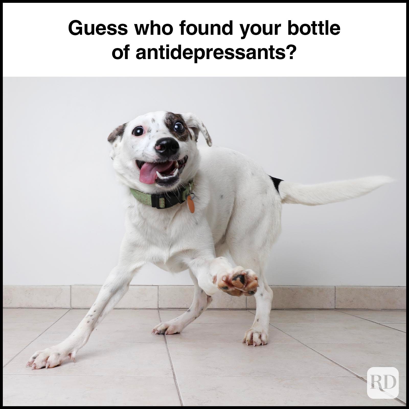 Dark Humor Memes 29 Gettyimages 1001199382