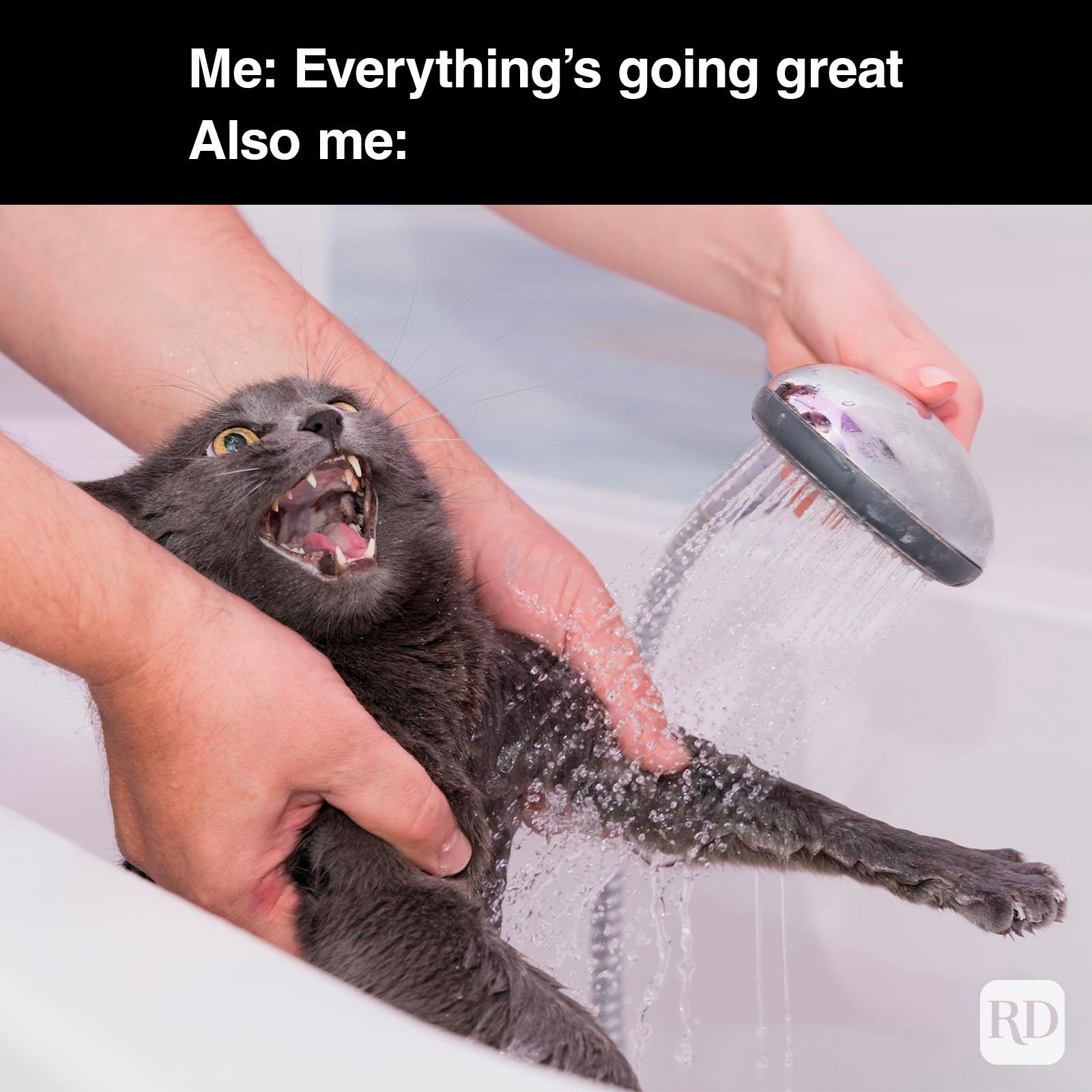 Dark Humor Memes 8 Gettyimages 1463175213