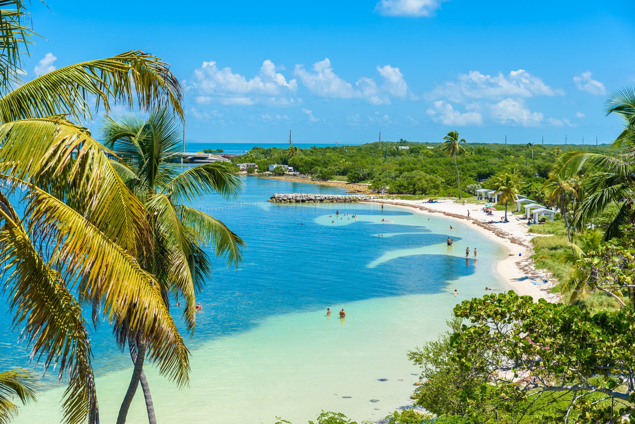 Palm trees frame a tranquil beach scene with sunbathers in turquoise water, surrounded by lush greenery under a clear blue sky.