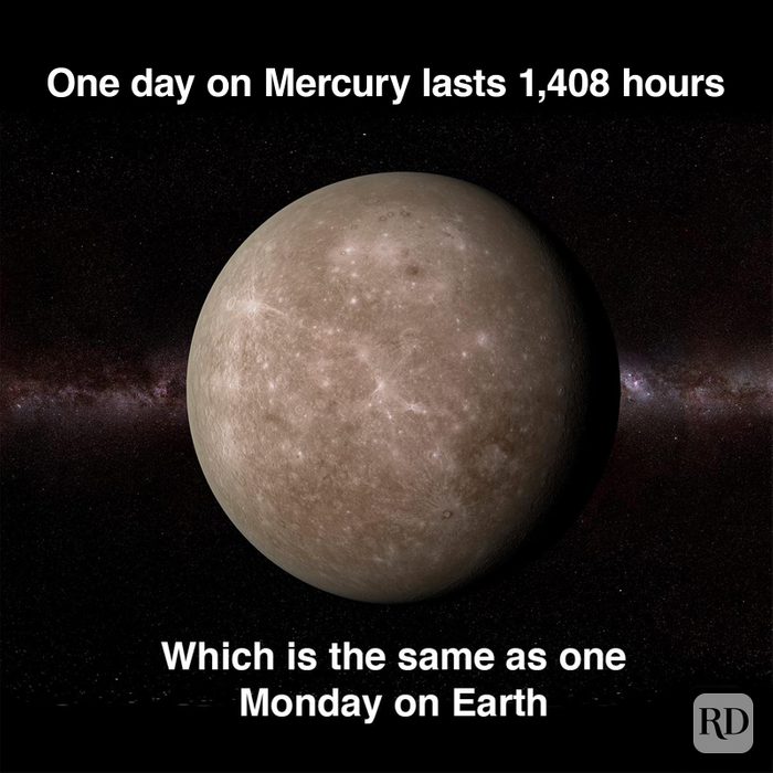 Monday Memes 17