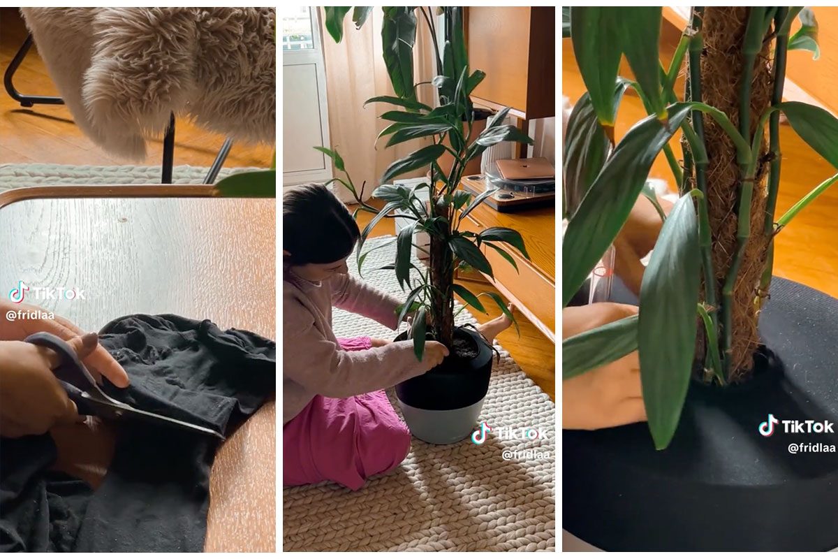 This Leggings Hack For Keeping Your Cat Out of Your Plants Is Purrfect