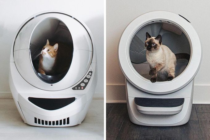 Litter Robot 3 Vs 4 side by side