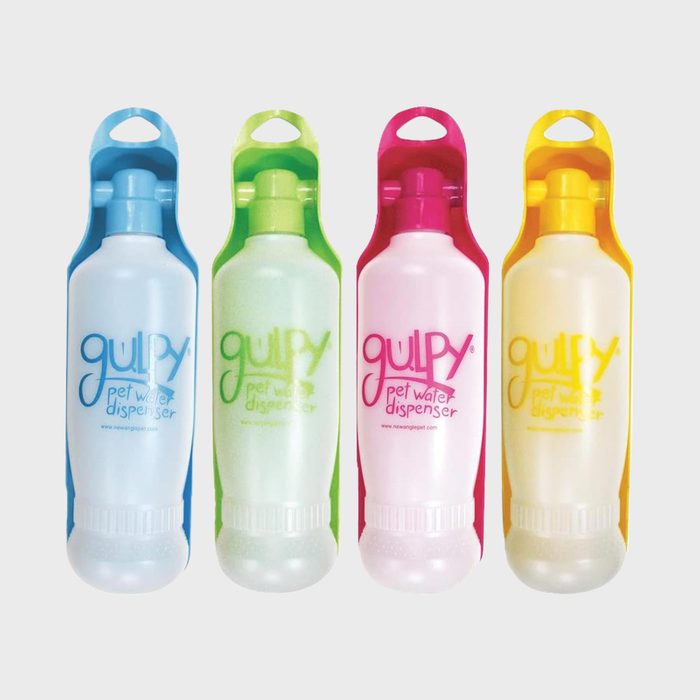 Four bright pet water dispensers stand grouped, displaying varied colors: blue, green, pink, yellow, labeled 