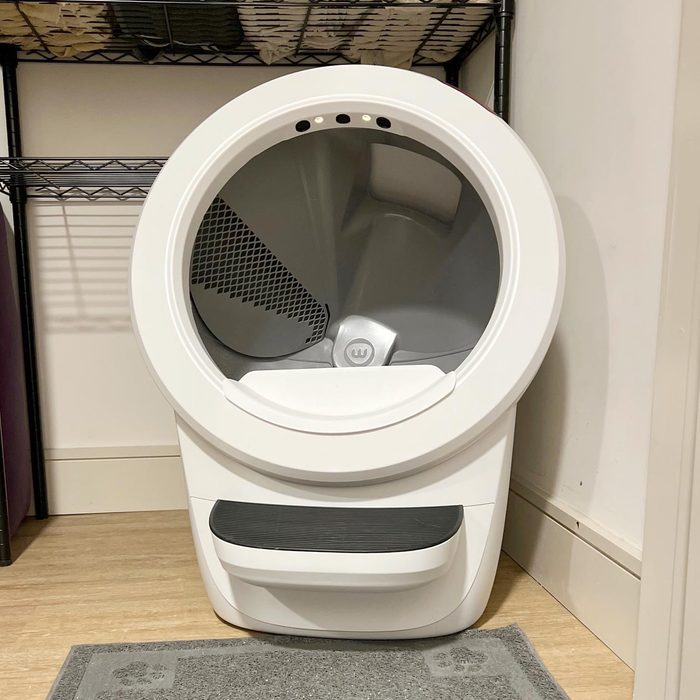 A white, circular litter robot sits unused in a corner, surrounded by shelves, on a wood floor with a small rug.