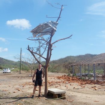 Bare tree holds tin roof; man stands beside it. Scattered debris surrounds, with mountains and a damaged structure in the background. Clear blue sky above.