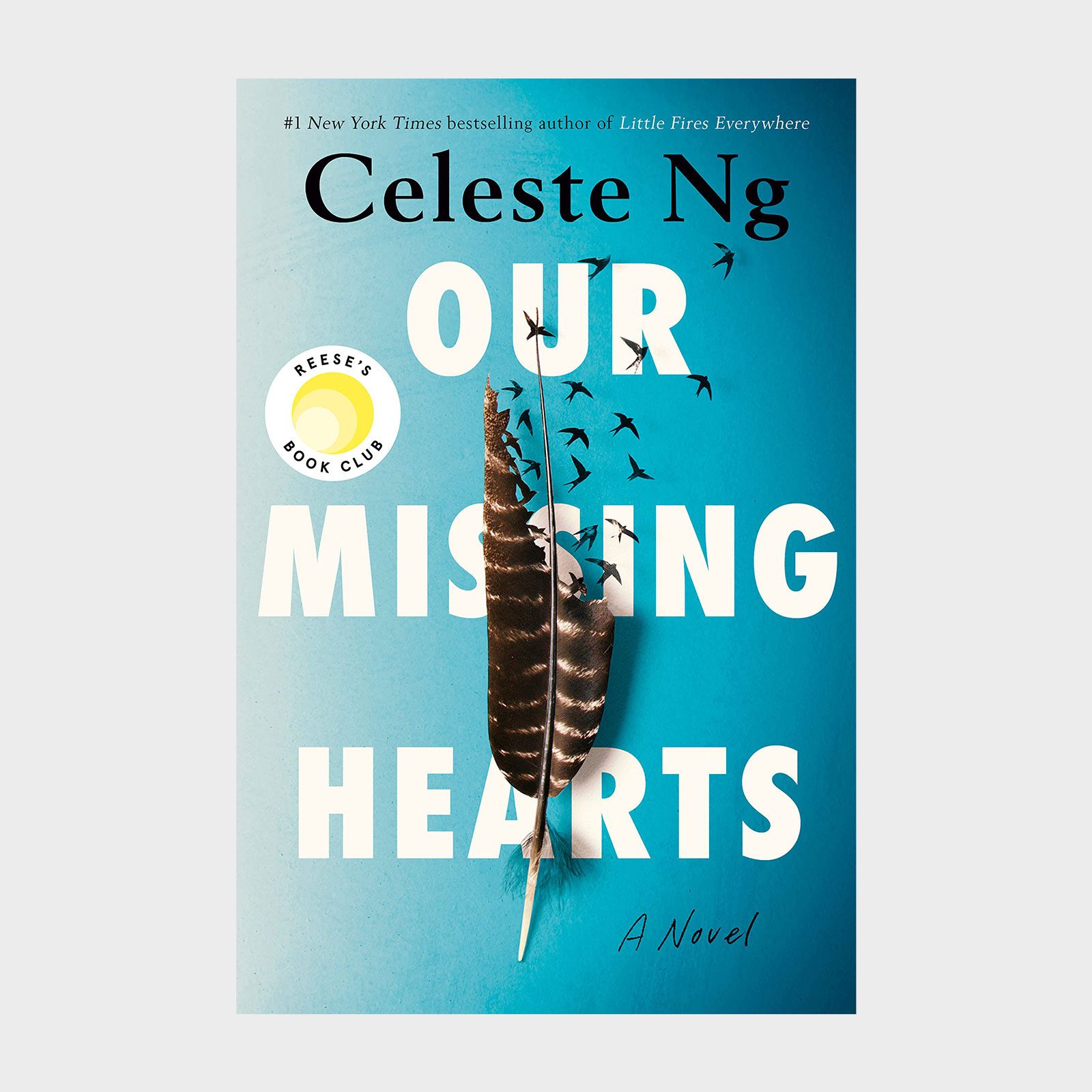 Our Missing Hearts Book