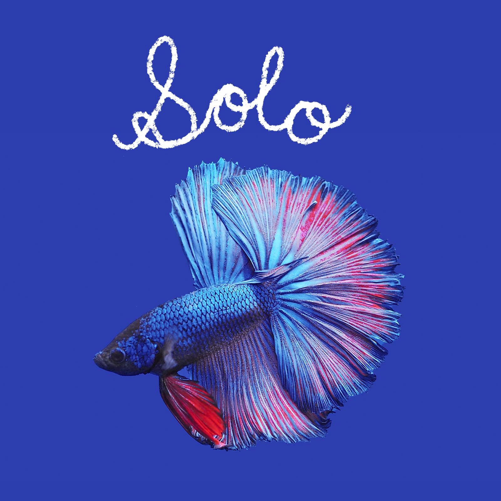 Fish name handwritten on an image of a fish