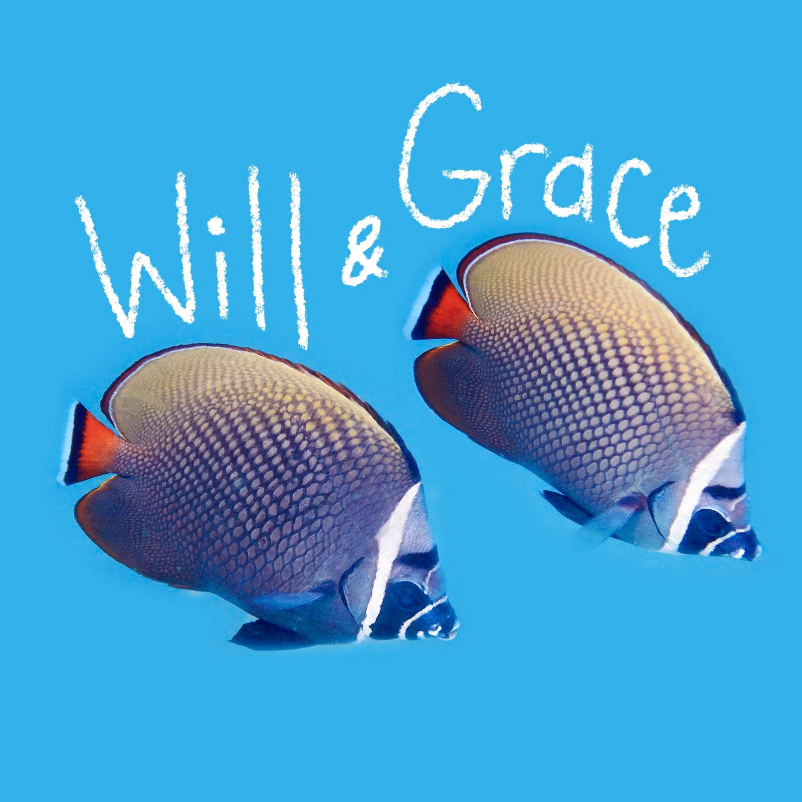 Fish name handwritten on an image of a fish