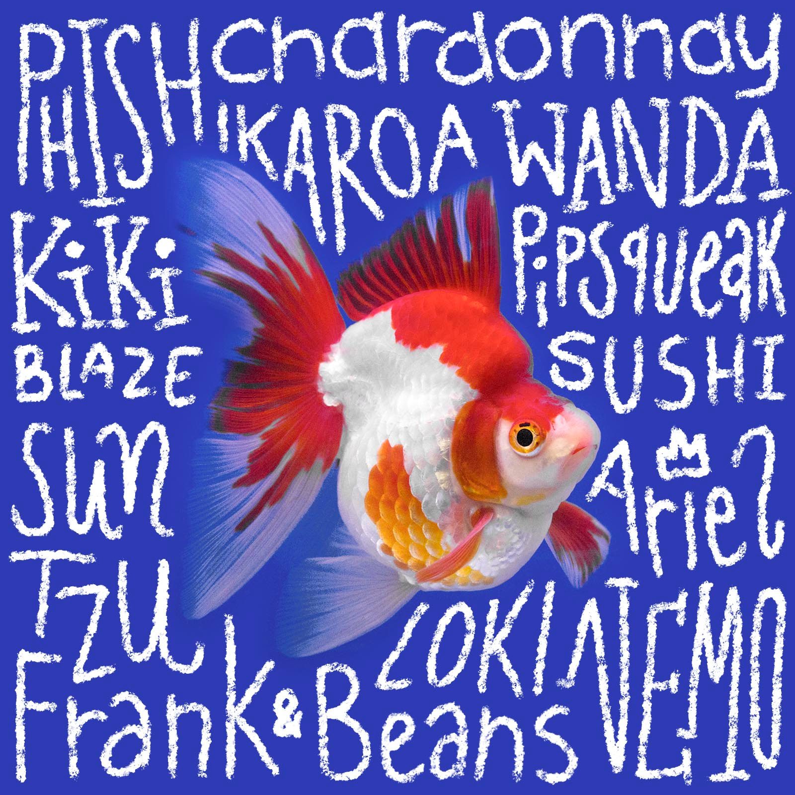 130+ Clever Names for Your Pet Fish That Are Fin-tastic