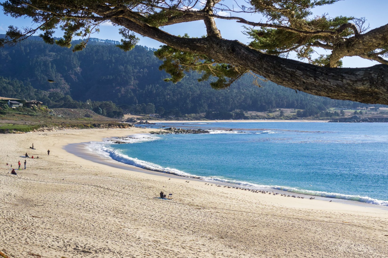 Beach stretching with waves, bordered by mountains and trees, dotted with few people, under clear blue sky.