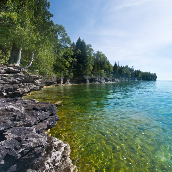 Rocky shoreline overlooks clear water, bordered by lush trees under a bright sky.