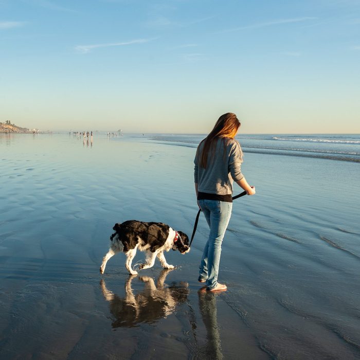 Person walks dog on a leash along a calm beach shoreline during a clear day.
