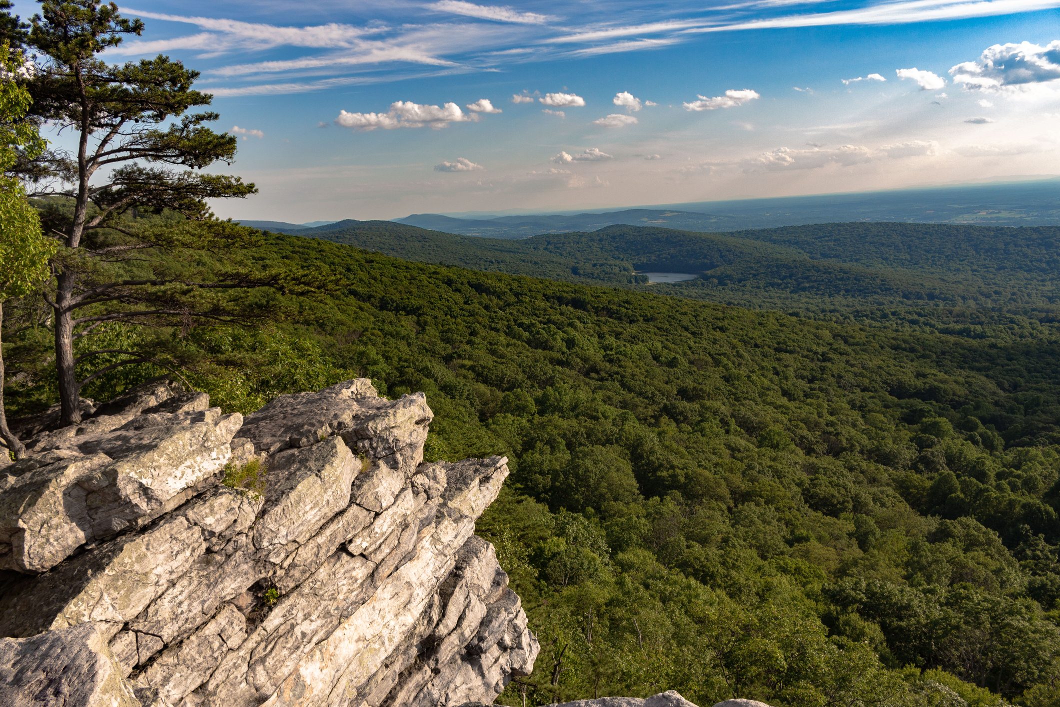 Rocky cliff overlooks vast forested valley under partly cloudy sky. A lone tree stands on the cliff edge, adding to the picturesque view.
