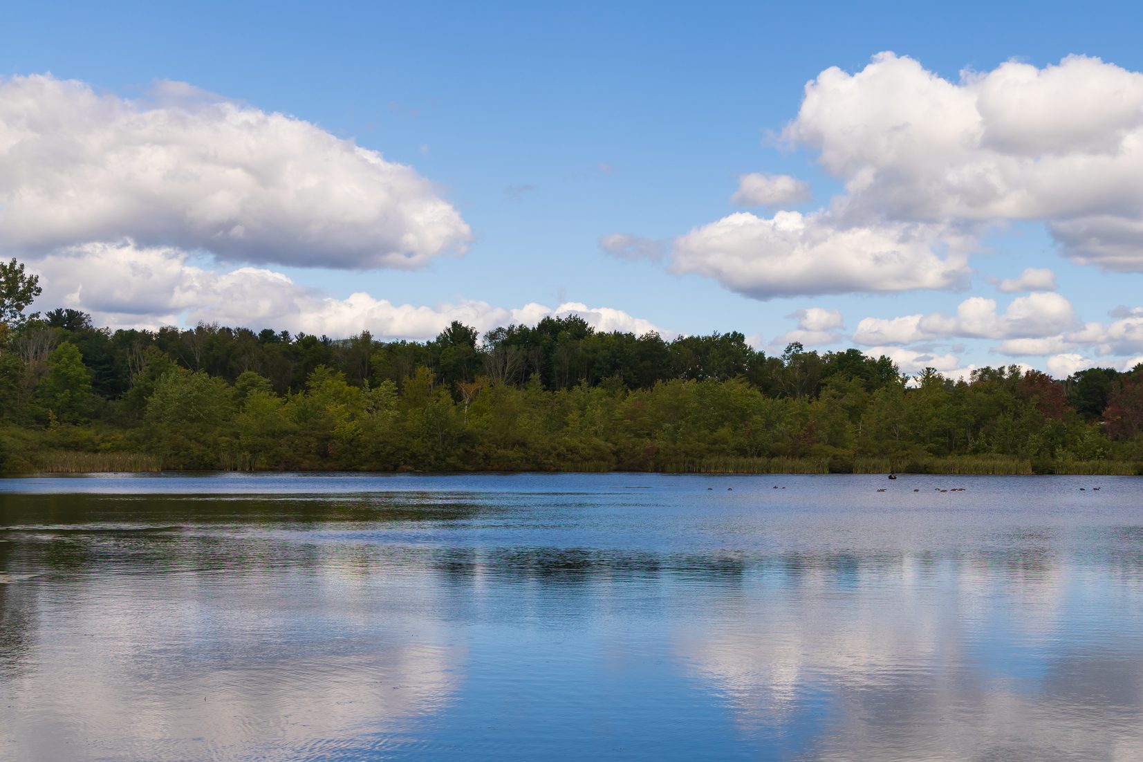 hidden attraction lake in Massachusetts