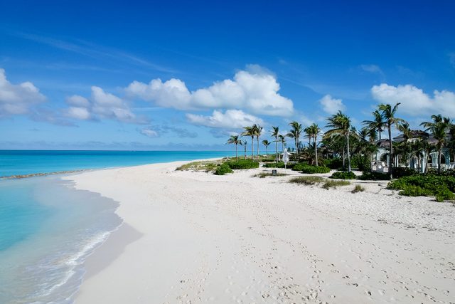 Beach stretches under clear sky; waves gently lap the shore. Palm trees sway beside a building, creating a tranquil seaside setting.