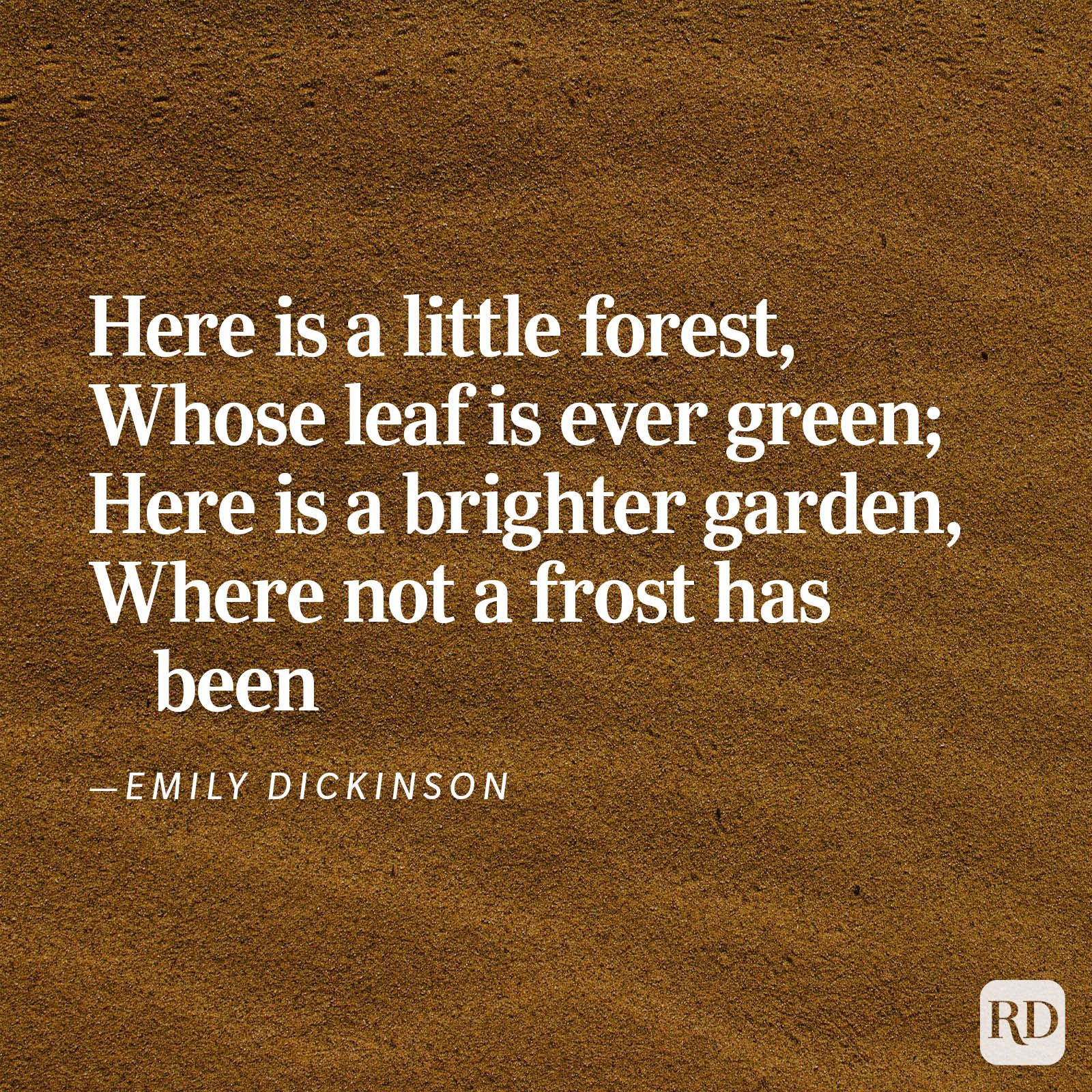 Text on brown textured background describes a little evergreen forest and a brighter, frost-free garden, attributed to Emily Dickinson.