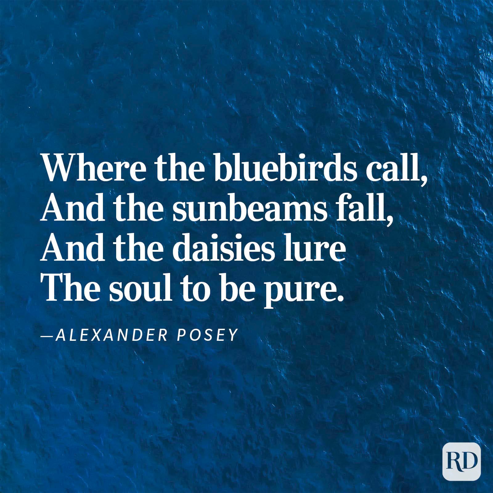 Text overlays ocean waves, quoting: "Where the bluebirds call, And the sunbeams fall, And the daisies lure The soul to be pure."â€”Alexander Posey.