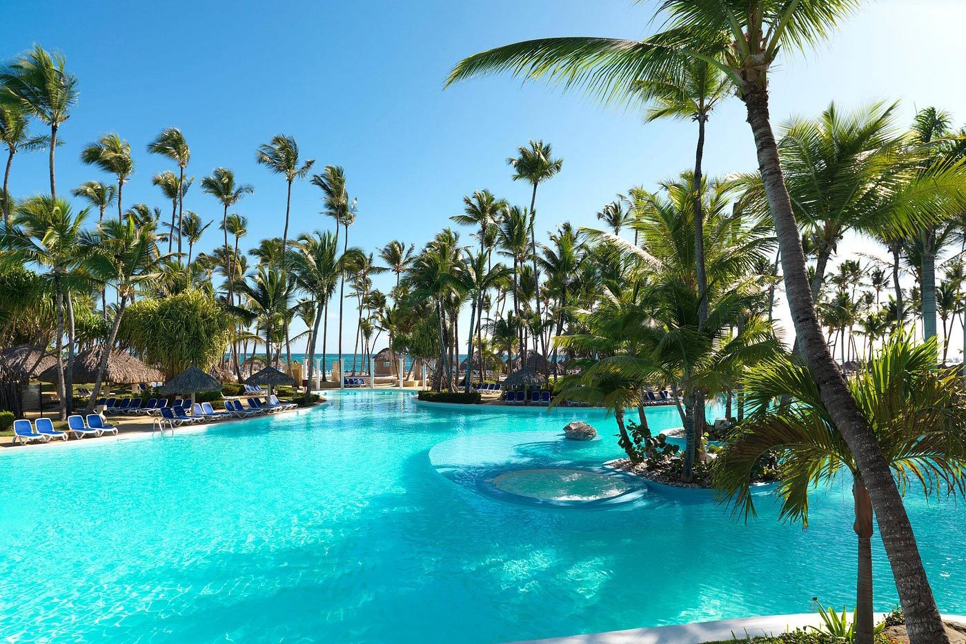 Bright blue pool surrounded by tall palm trees and lounge chairs under a clear sky.