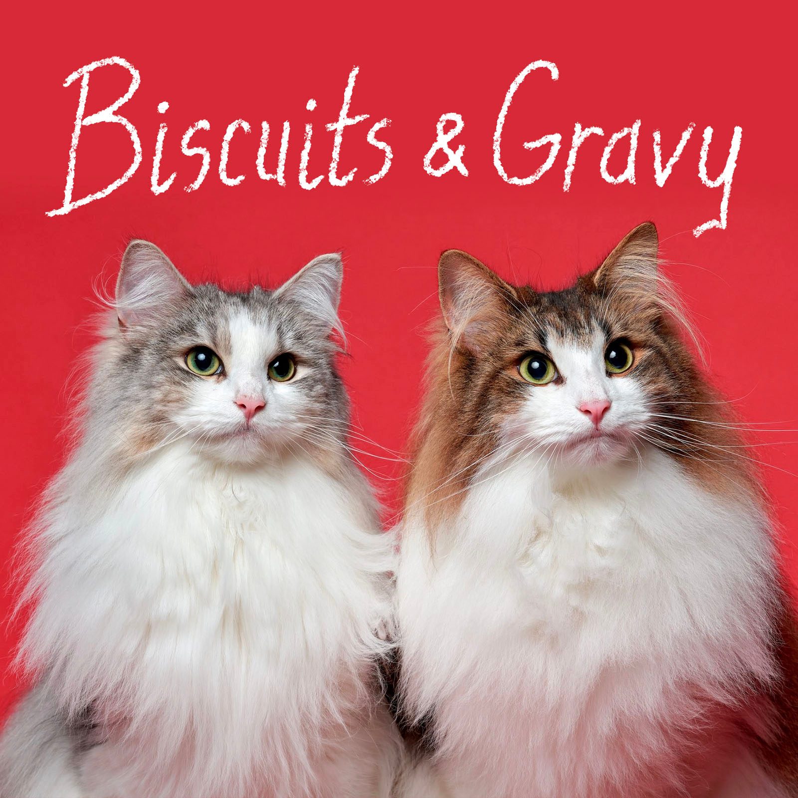 Cute Cat Names 10 Pairs Gettyimages 1281445972