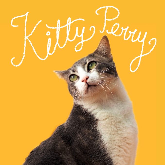 Cute Cat Names 11 Celebrity Gettyimages 1352760515