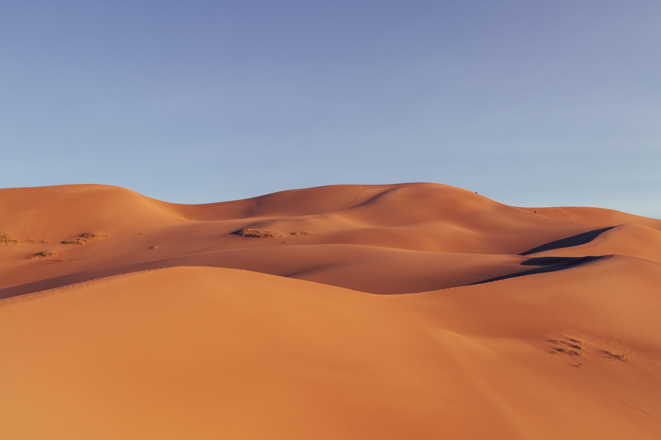 Sand dunes curve gently under a clear blue sky, casting soft shadows across the arid desert landscape.