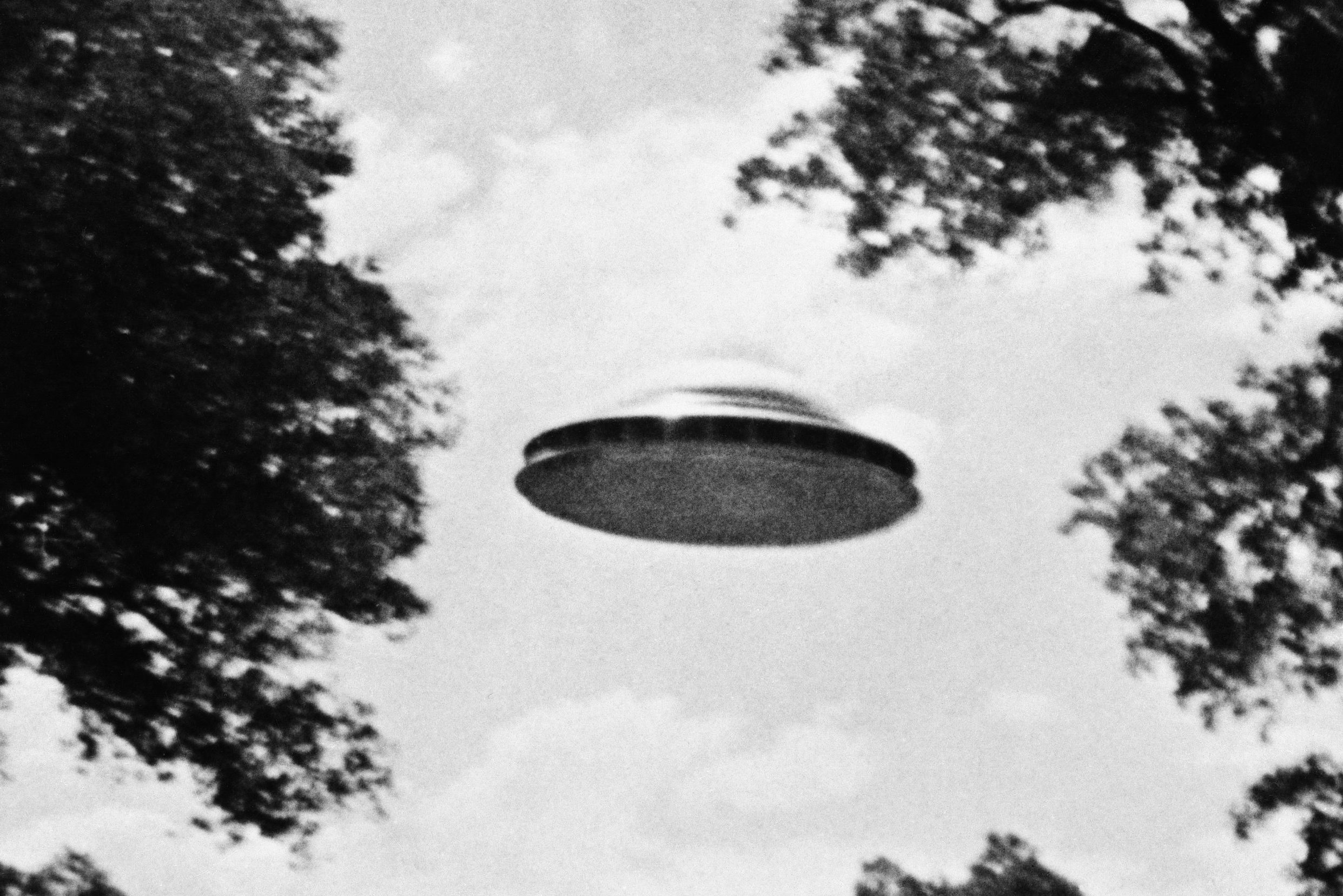 A disc-shaped object hovers in the sky, framed by trees, suggesting an outdoor setting.