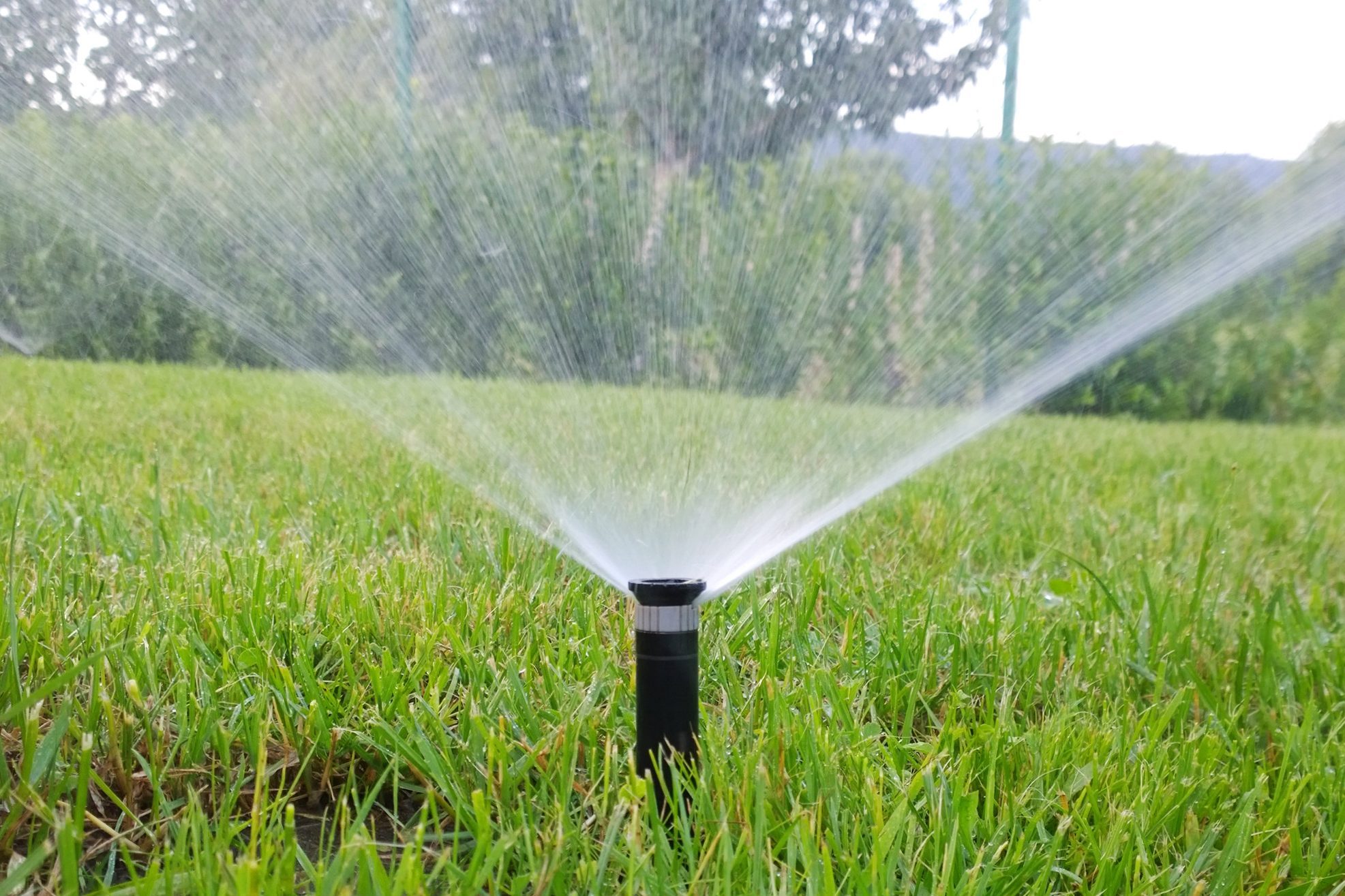 sprinkler of automatic watering