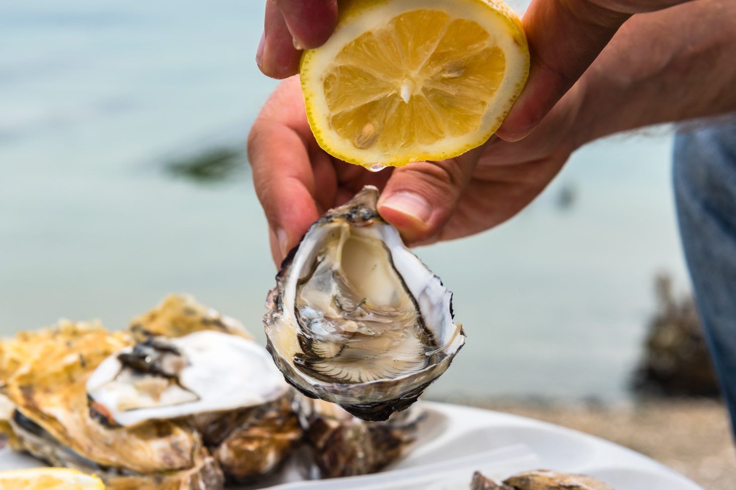 Male hand holding oysters