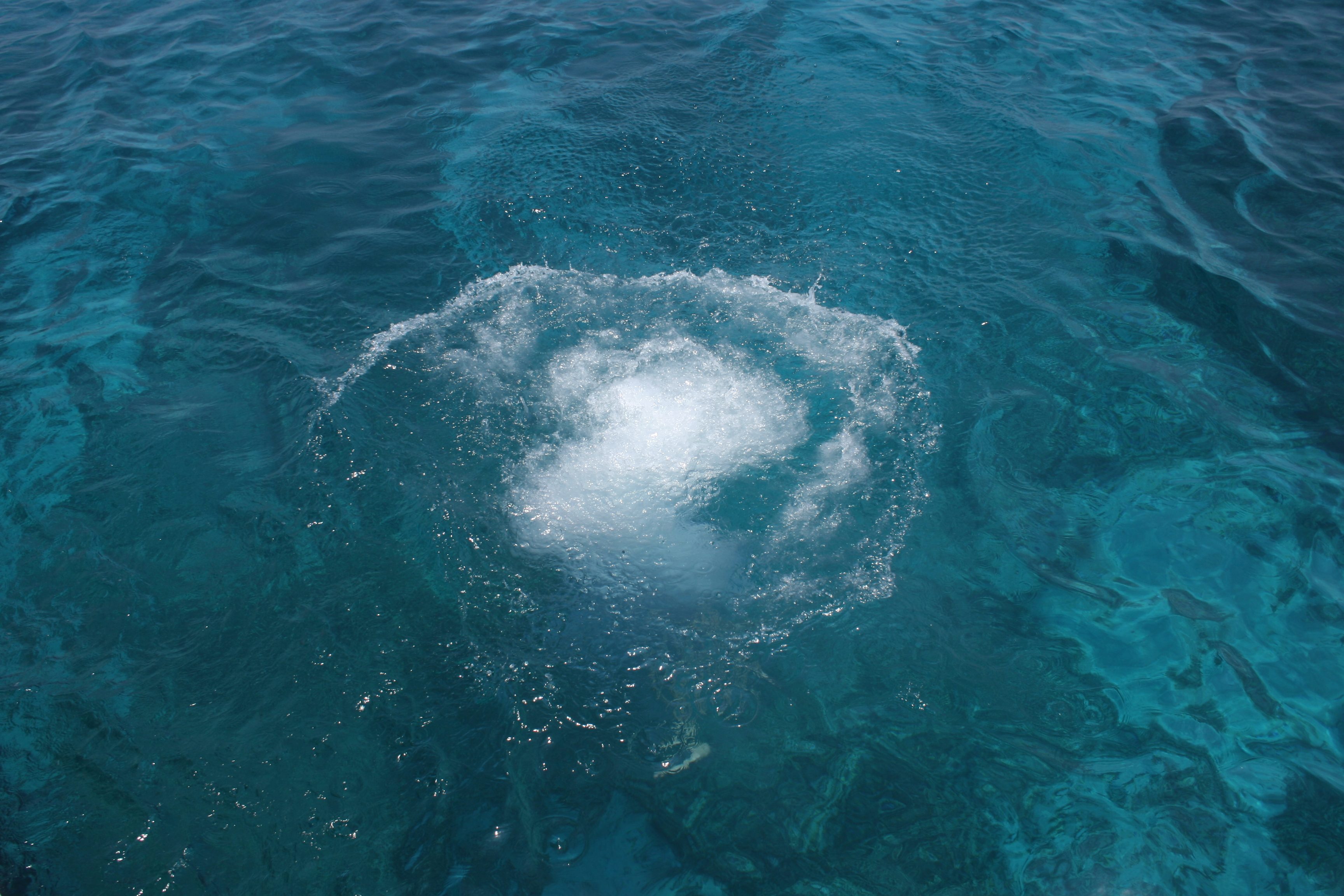 A circular splash disturbs the calm, clear blue ocean, forming ripples that extend outward in a serene sea setting.