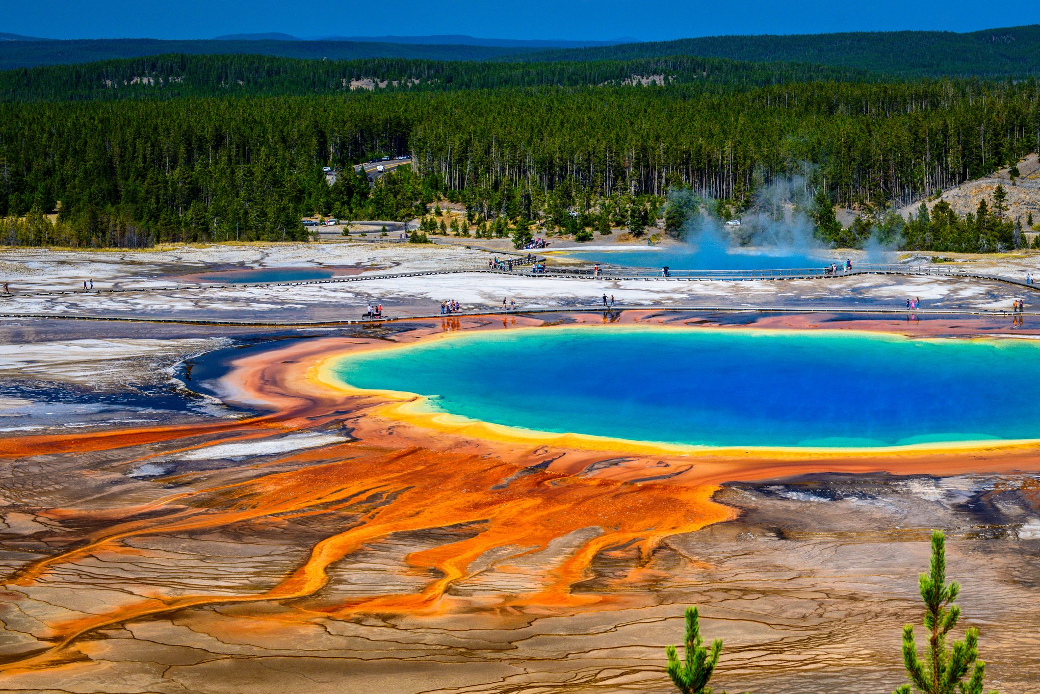 Geothermal spring displays vibrant blue, yellow, and orange colors; surrounded by steam and visitors; set within a forested landscape.