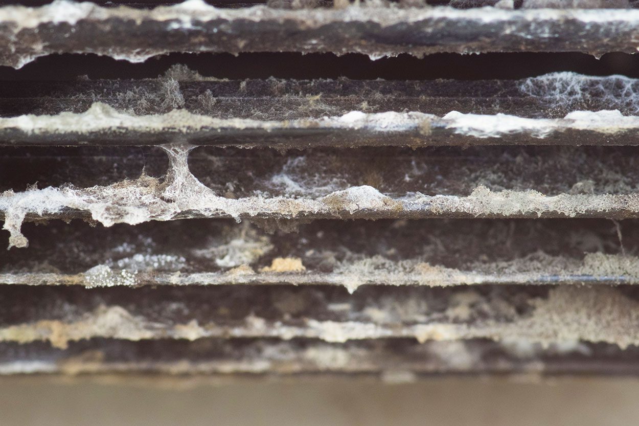 Mold Inside The Air Conditioner.