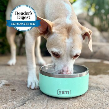 Dog drinks from a turquoise YETI bowl on a stone surface, outdoors. Reader's Digest "Editor-Tested" badge visible.