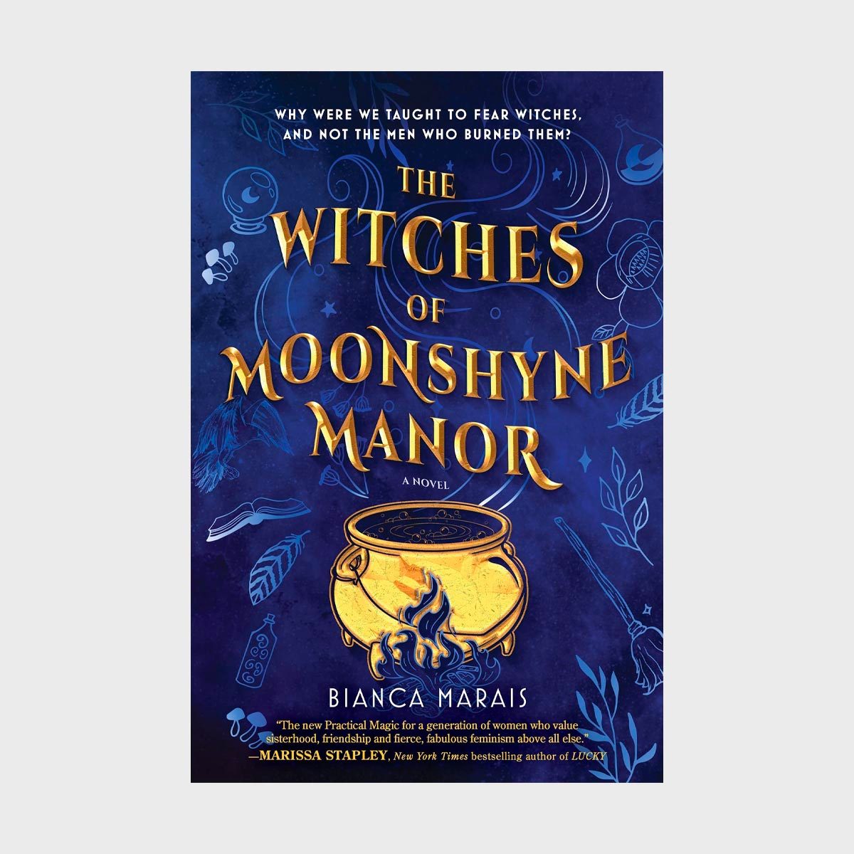 The Witches Of Moonshyne Manor