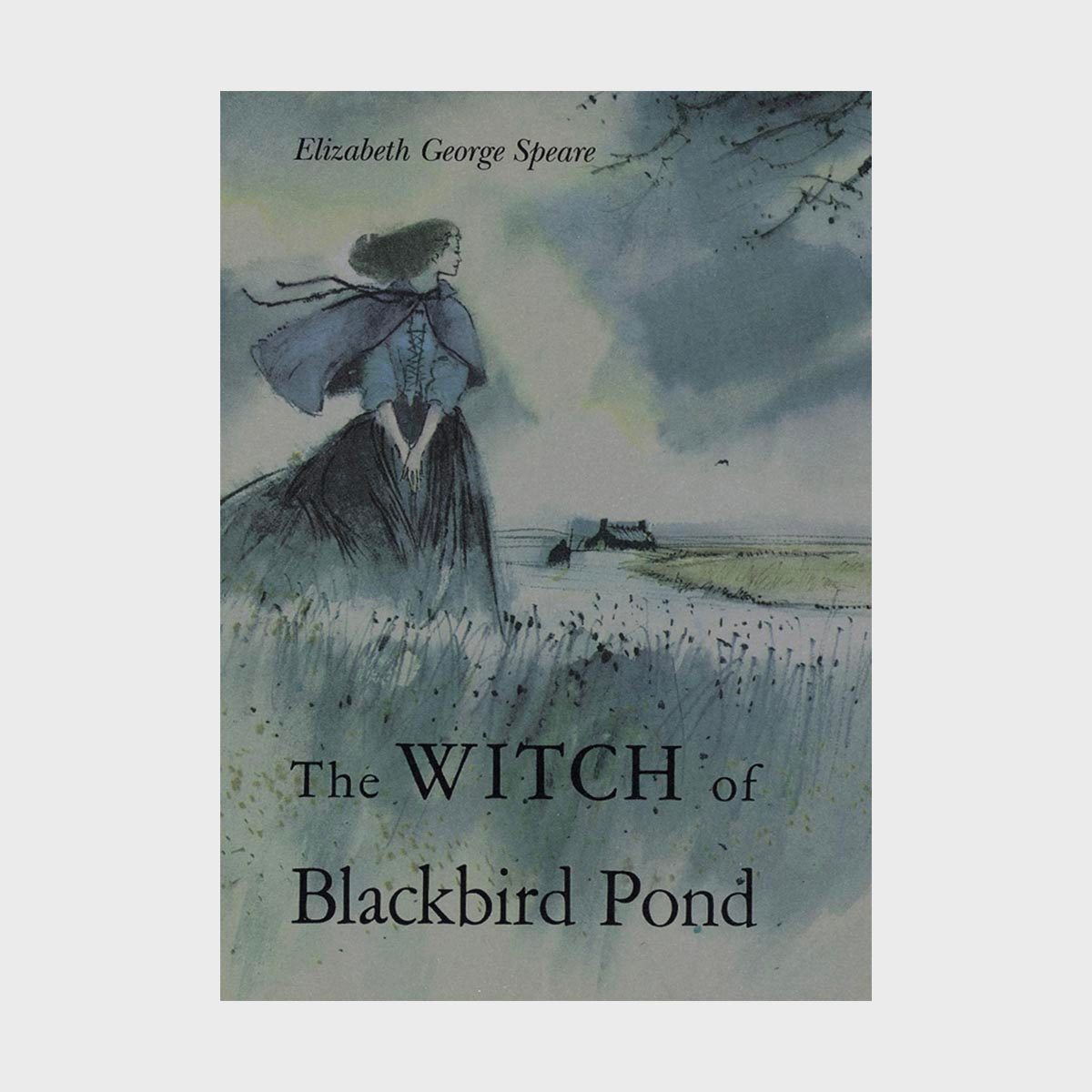 The Witch Of Blackbird Pond
