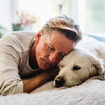 Man sleeps closely with a golden retriever on a bed, in a softly lit room with curtains and plants.