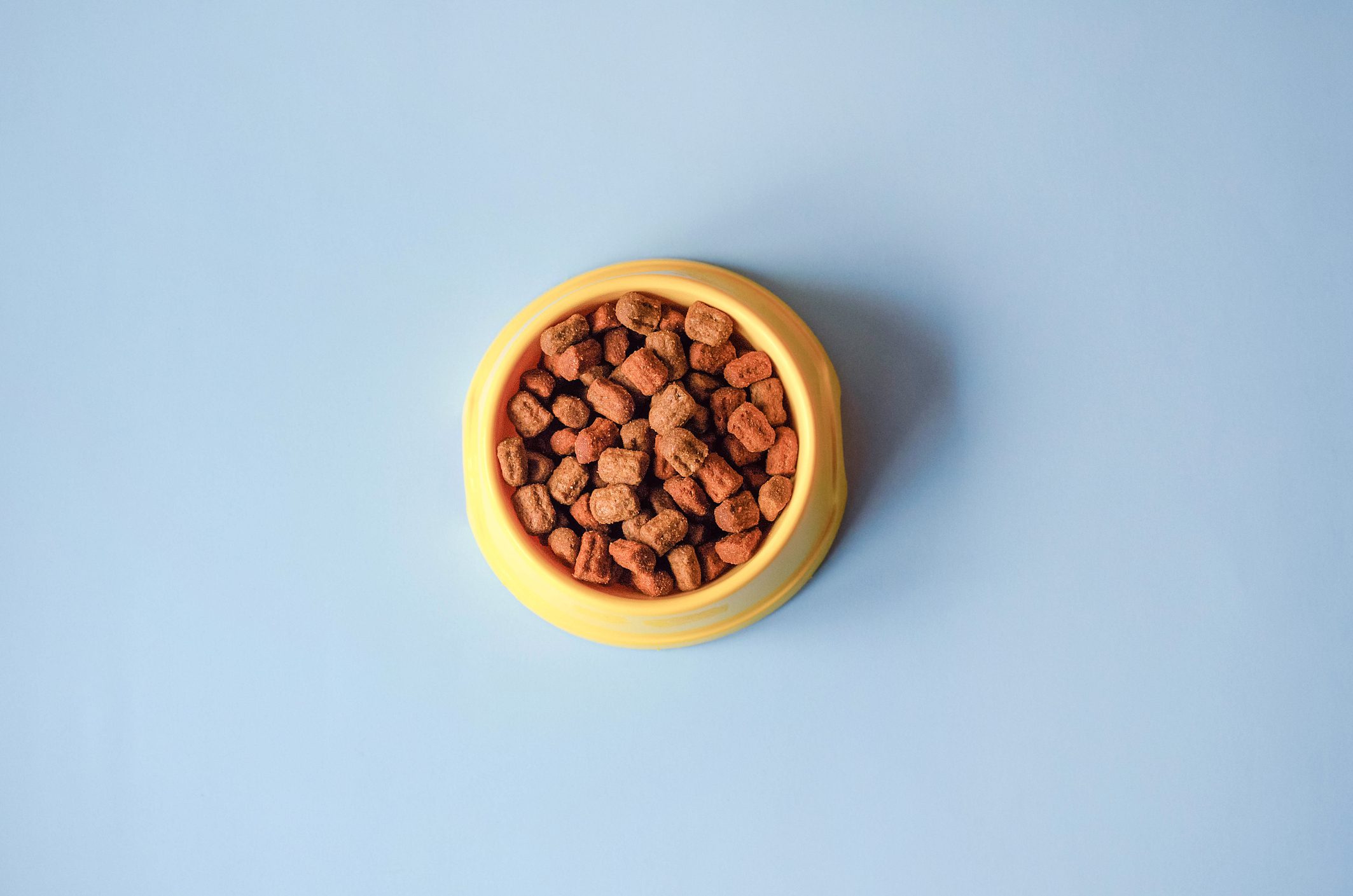 A yellow bowl filled with brown pet kibble sits on a light blue background.