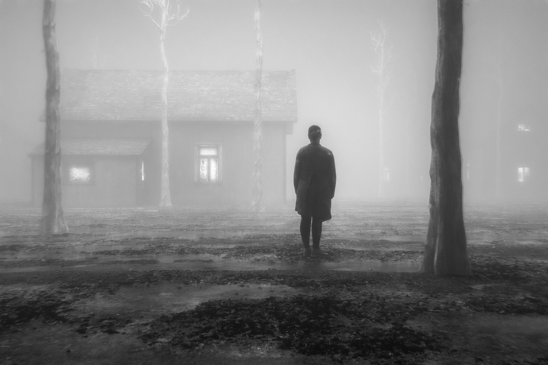 A person stands still in a misty landscape with barren trees and a distant house with lit windows.