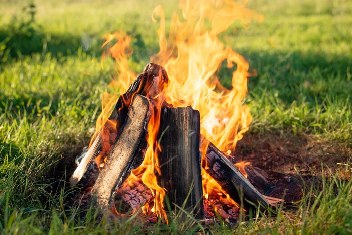 Campfire outdoor in the evening
