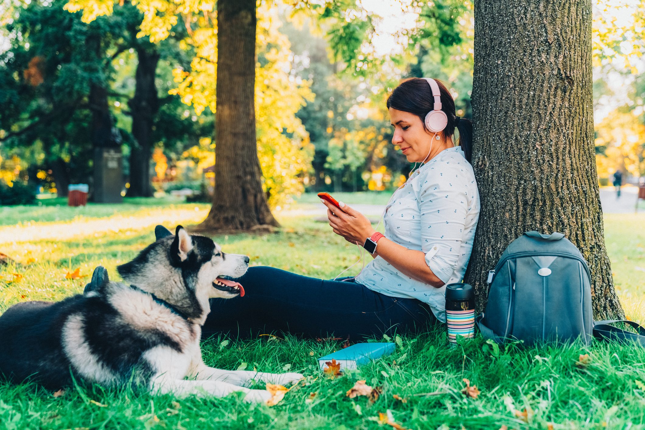 Dog walker with siberian husky in the park