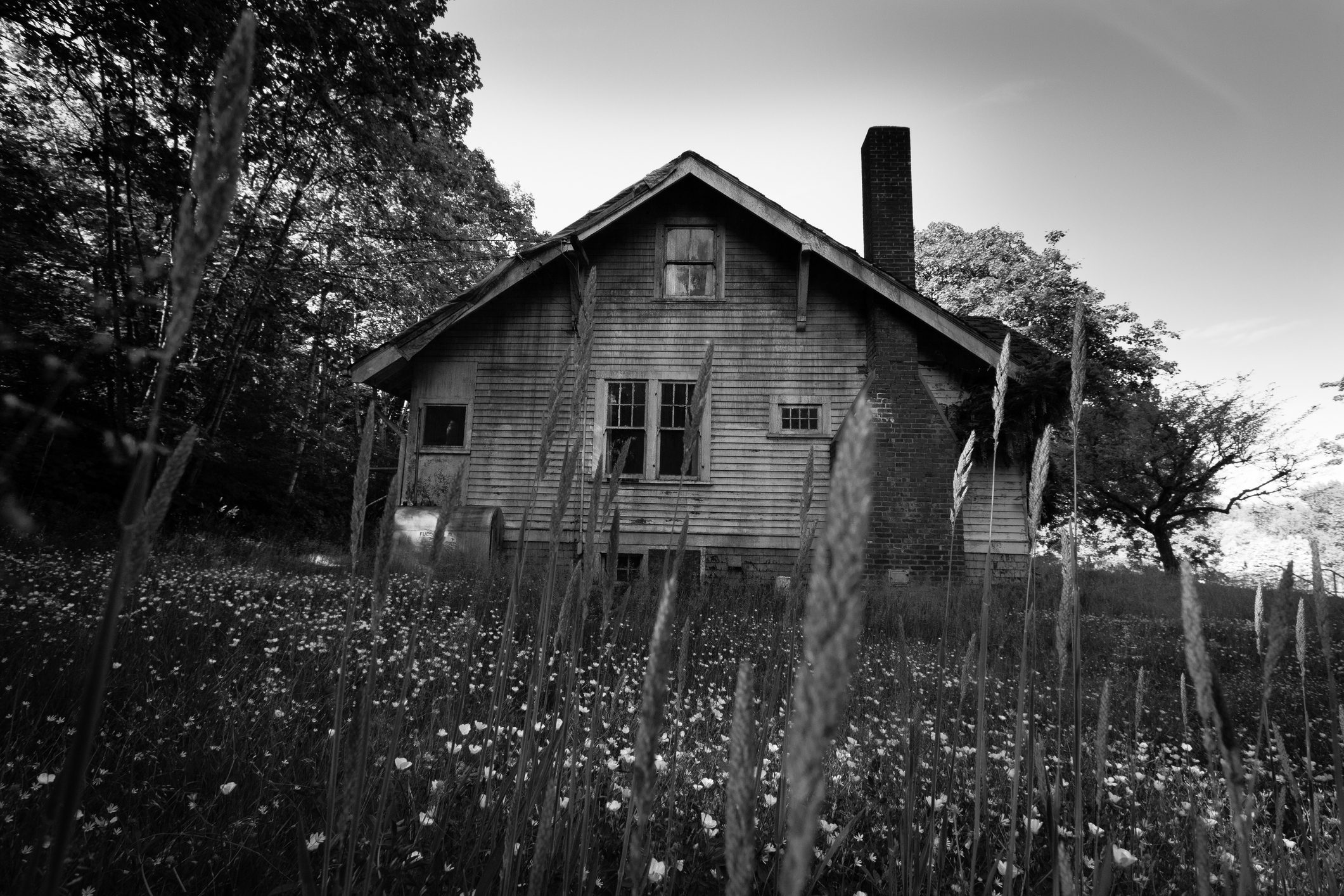 An old house stands still, surrounded by tall grass and trees, under a sky with scattered clouds.
