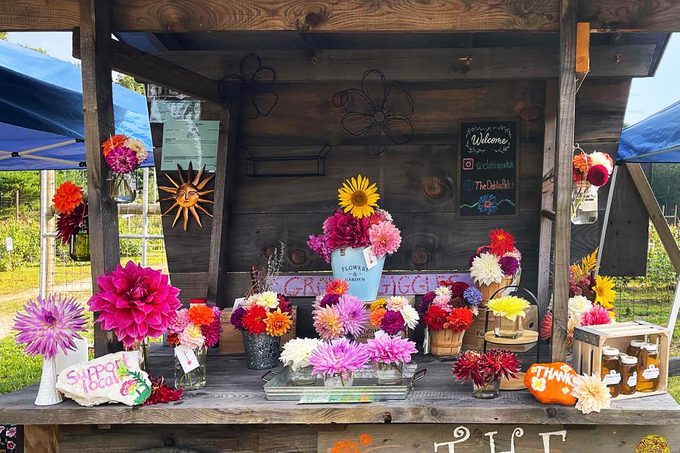 What Cheer was founded by two gardeners who often gave away flowers from their own gardens and wanted the idea to grow.