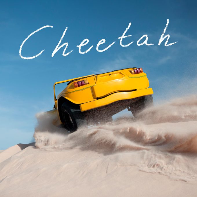 Car Names 9 Sports Gettyimages 185092668