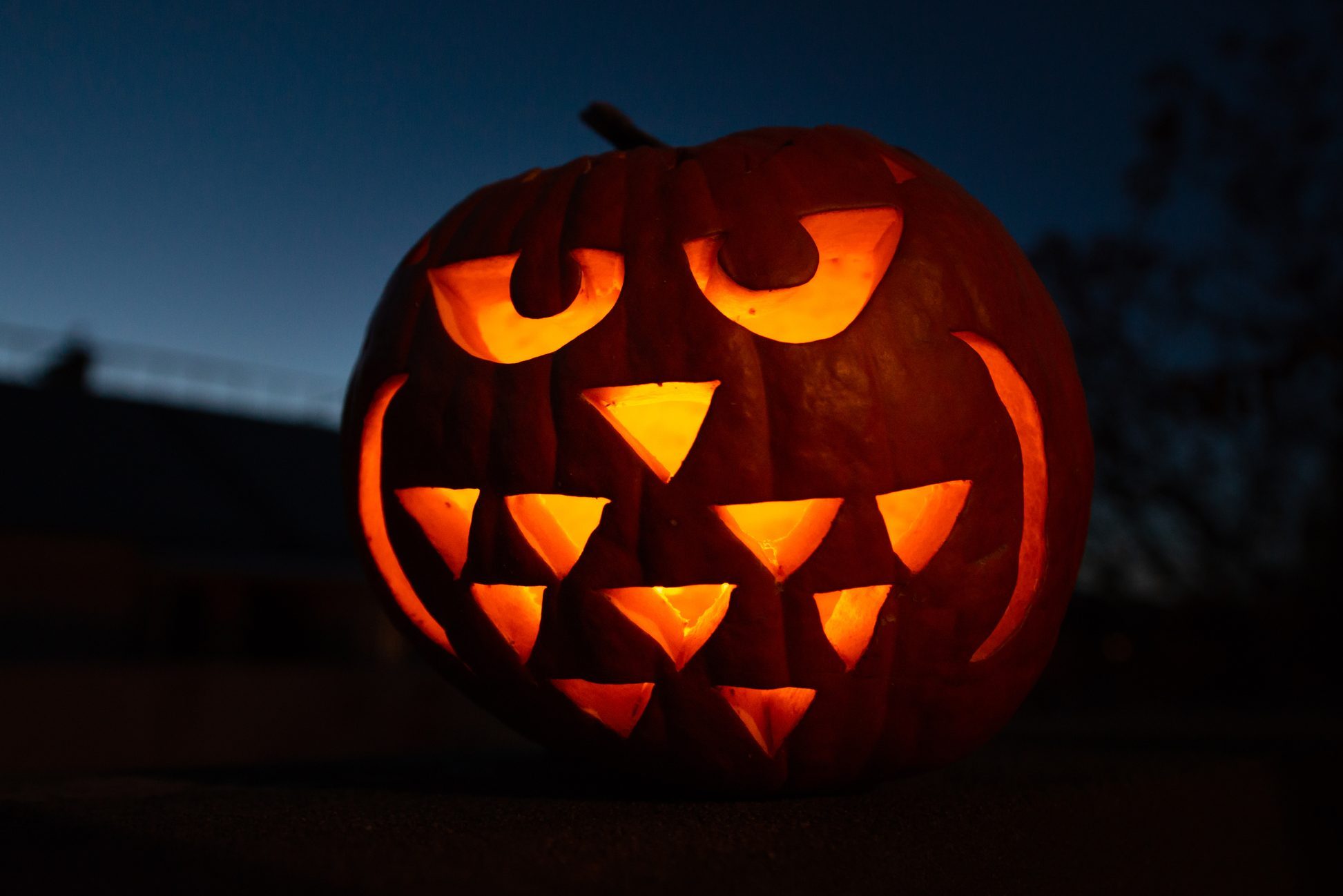 Owl carved pumpkin lantern