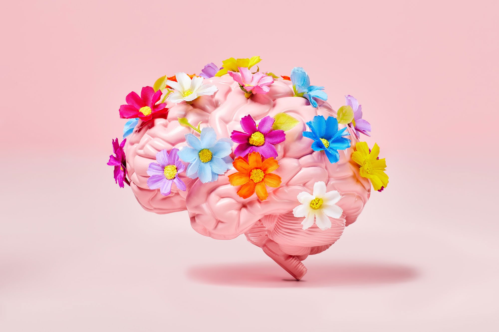 Emotional Intelligence: The Skill That May Be More Important Than IQ in Achieving Success