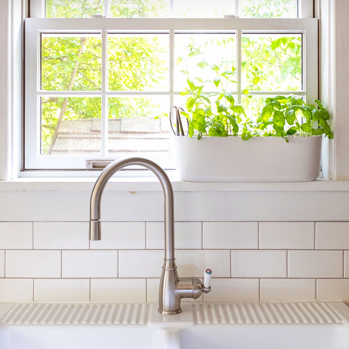 A Planter Full Of Herbs Growing On A Kitchen Windowsill